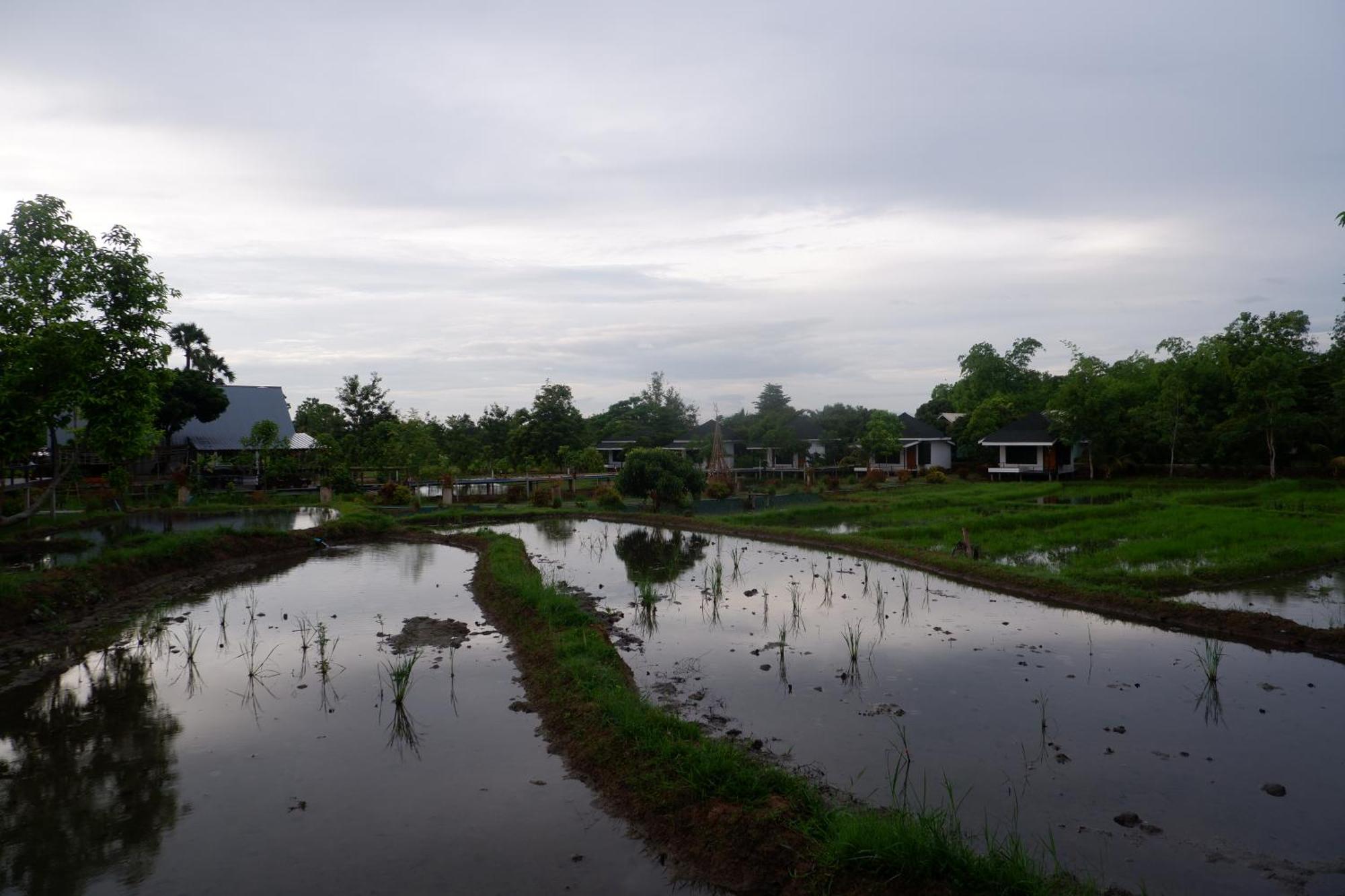 Nok Chan Mee Na Chom Thong Exterior foto