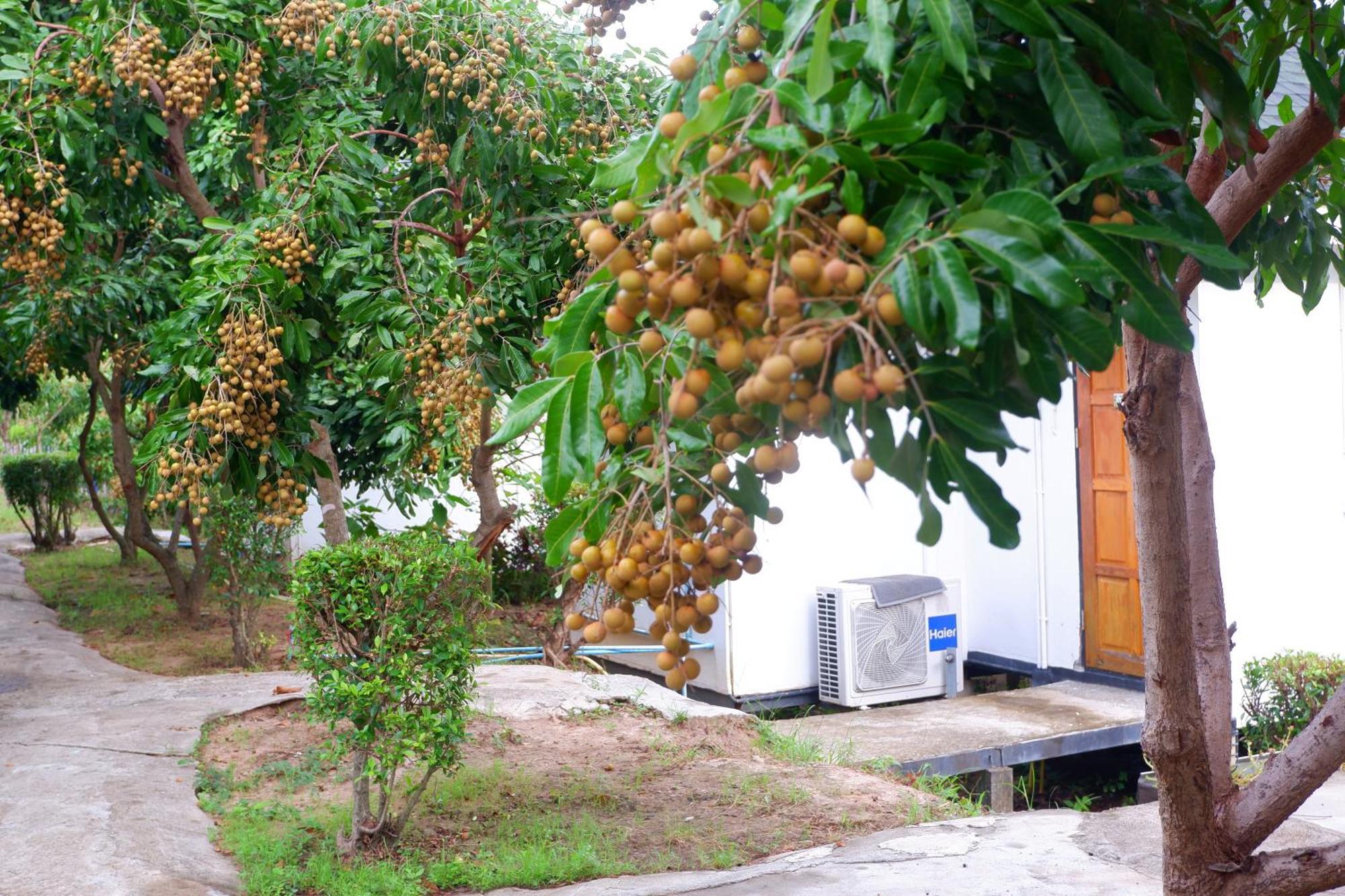 Nok Chan Mee Na Chom Thong Exterior foto
