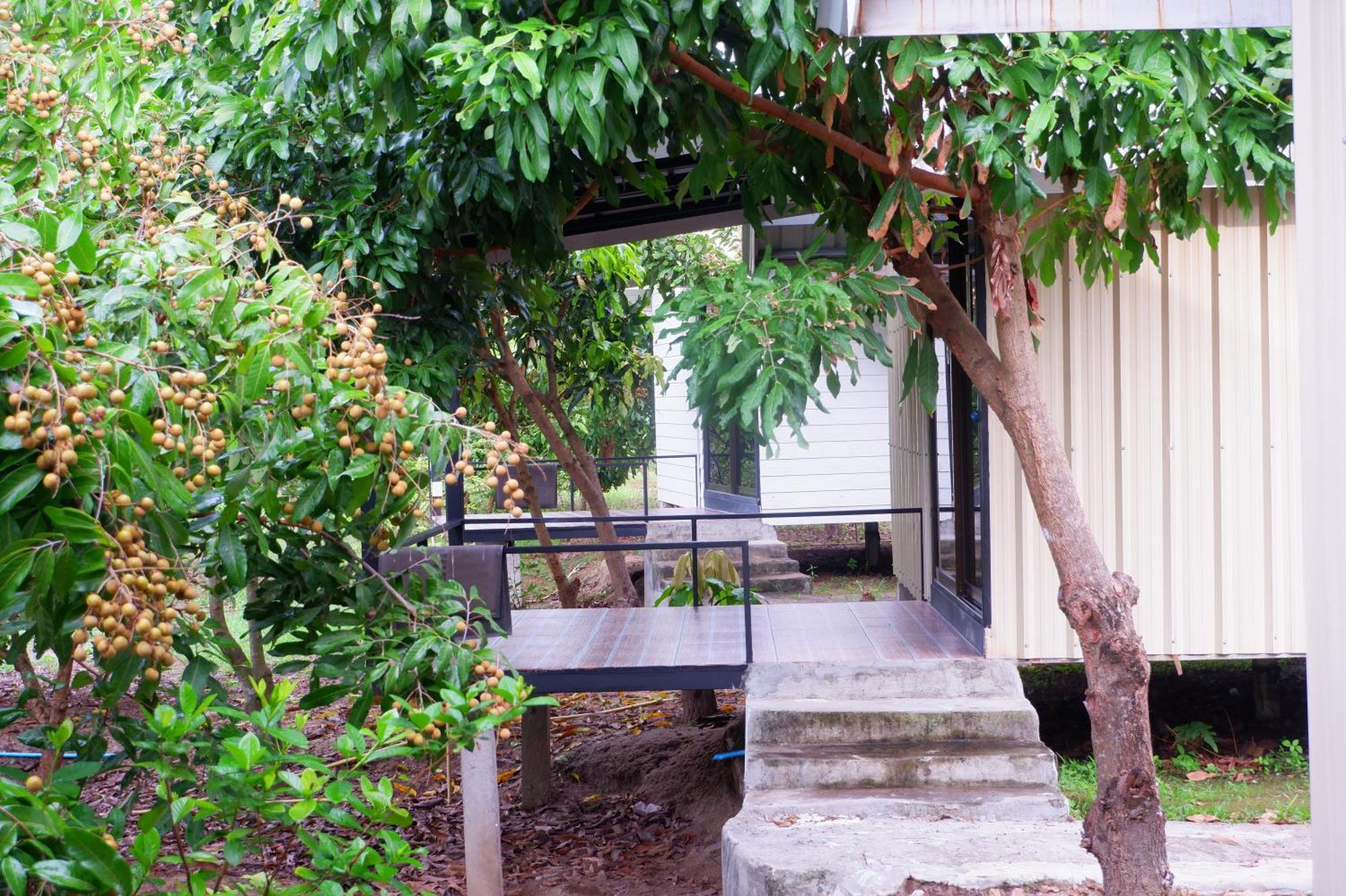 Nok Chan Mee Na Chom Thong Exterior foto