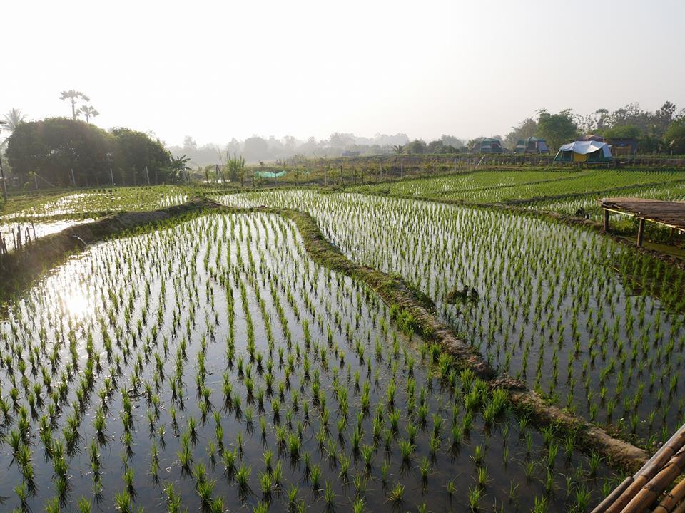 Nok Chan Mee Na Chom Thong Exterior foto