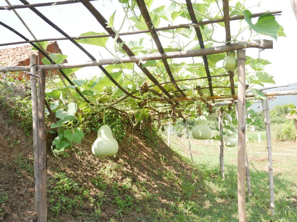 Nok Chan Mee Na Chom Thong Exterior foto